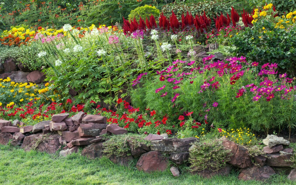 Les Accords de Couleur dans un Jardin