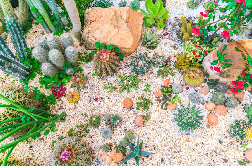 Les avantages d&rsquo;installer des graviers déco dans son jardin