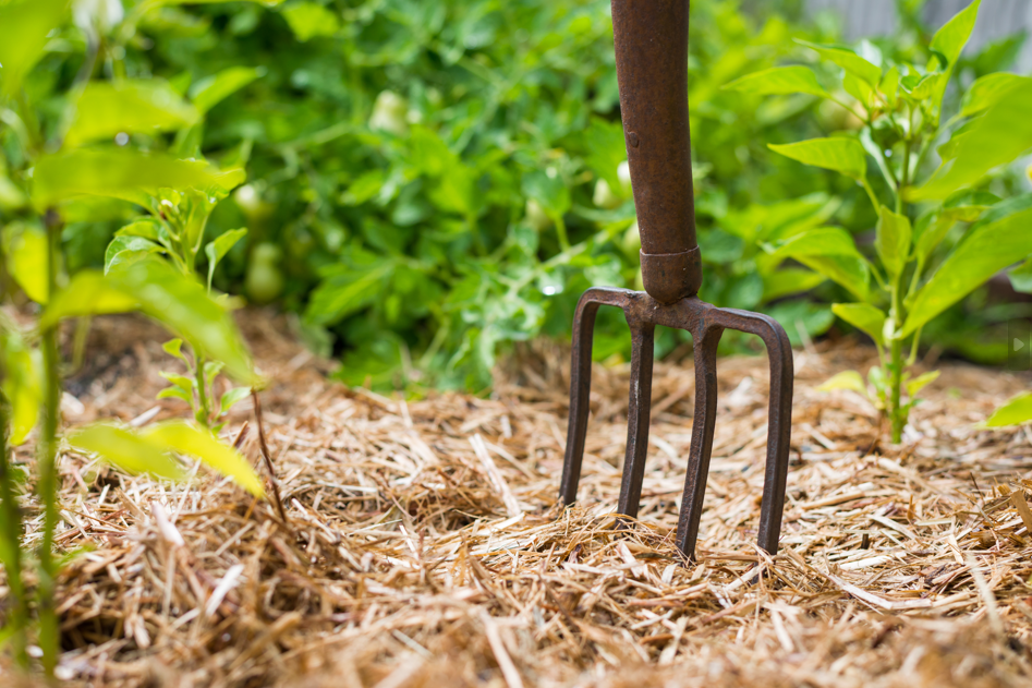 Comment choisir son paillage végétal ?