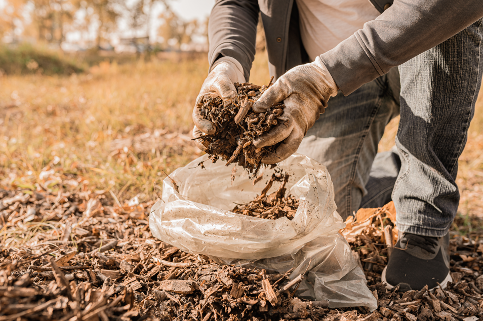 Poser du Paillage Végétal dans son Jardin : Un Guide Étape par Étape