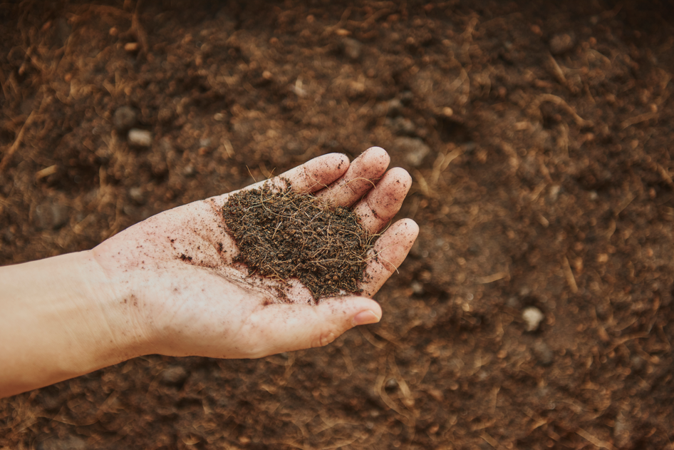 Poser de la Terre Amendée : Un Guide Complet pour la Réussite de Votre Jardin