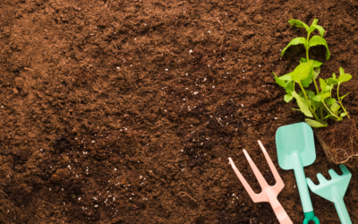 Choisir Entre Terre Criblée et Terre Amendée : Un Guide Pratique pour le Jardinage Réussi