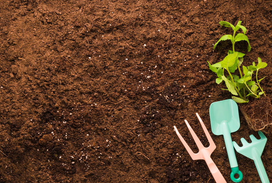 Choisir Entre Terre Criblée et Terre Amendée : Un Guide Pratique pour le Jardinage Réussi