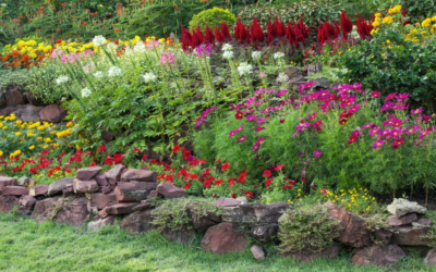 Les Accords de Couleur dans un Jardin