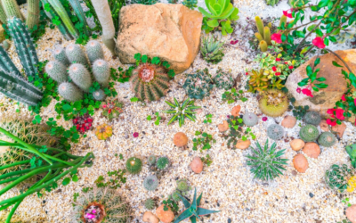 Les avantages d’installer des graviers déco dans son jardin